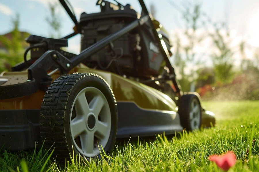 cordless electric lawn equipment