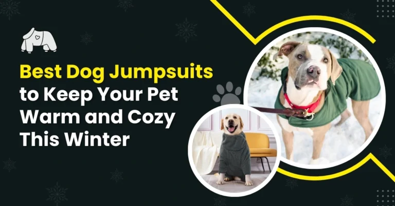 Best Dog Jumpsuits to Keep Your Pet Warm and Cozy This Winter